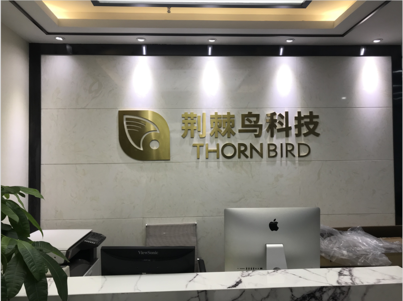 重庆荆棘鸟科技