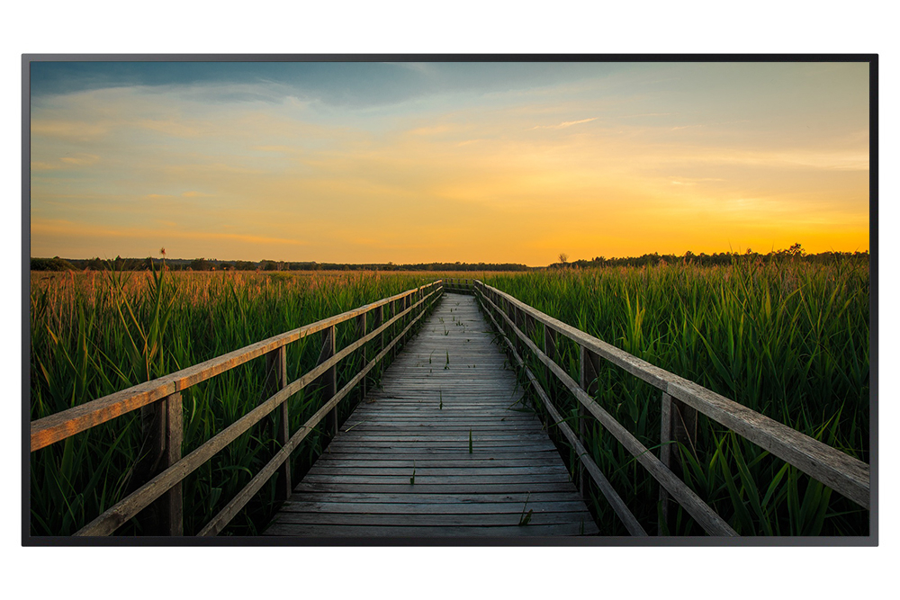 Samsung（LCD）QB55R